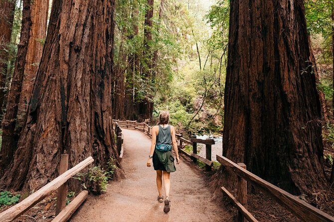 Muir Woods with Napa & Sonoma Wine Tour + Alcatraz Tour & Aquarium Access - Timing, pickup, and group size
