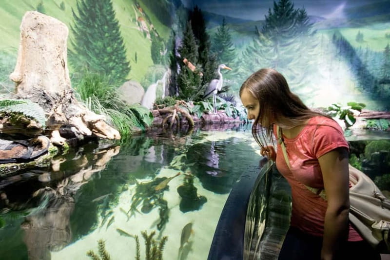 Munich: Day Ticket to Sea Life - Price, flexibility, and what the ticket includes