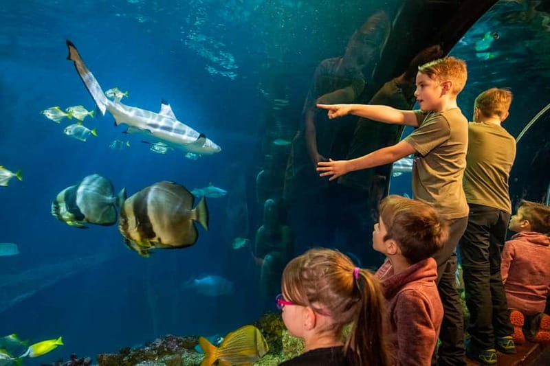 Munich: Day Ticket to Sea Life - Starting at the Isar, then following the water