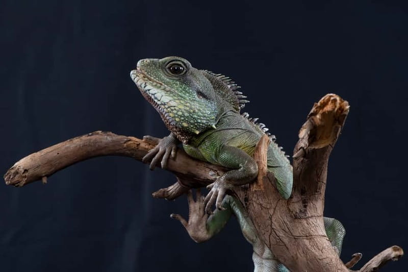 Munich: Day Ticket to Sea Life - Daily feedings bring movement and useful facts