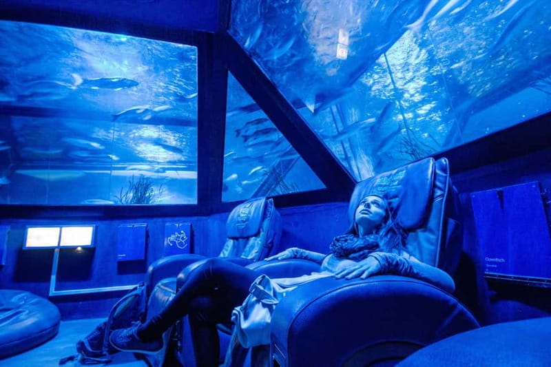Munich: Day Ticket to Sea Life - How long to allow and how to pace the visit