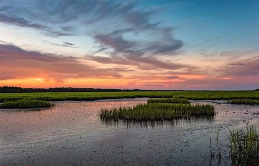 Murrells Inlet: Sunset Sealife Cruise - Sea life, stories, and the limits of the narration