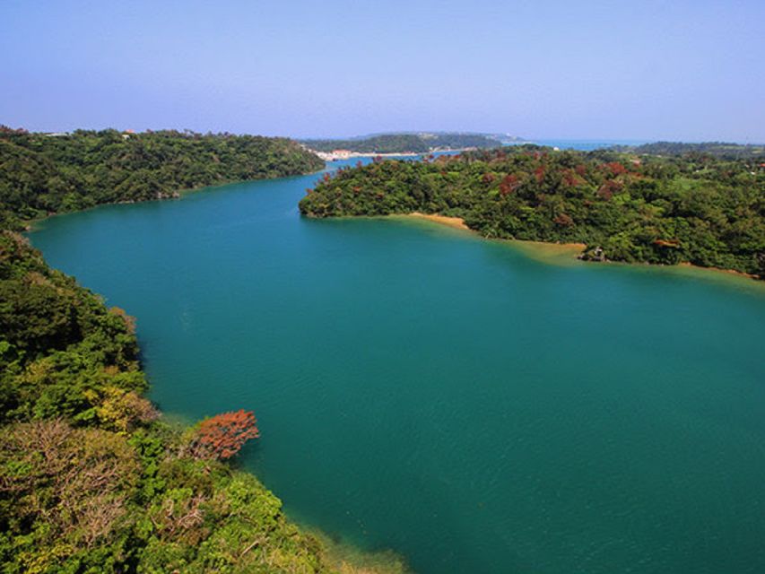 Naha: North Okinawa Sightseeing Tour & Churaumi Aquarium - Why this North Okinawa tour works without a rental car