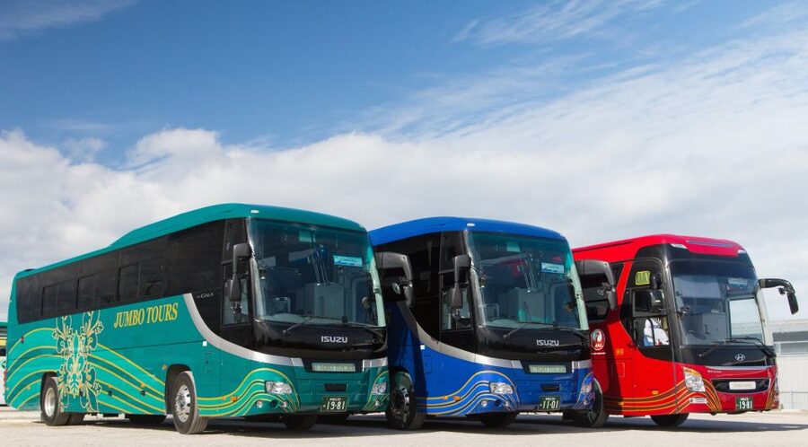 Naha: North Okinawa Sightseeing Tour & Churaumi Aquarium - Transport, timing, and the real value of $50
