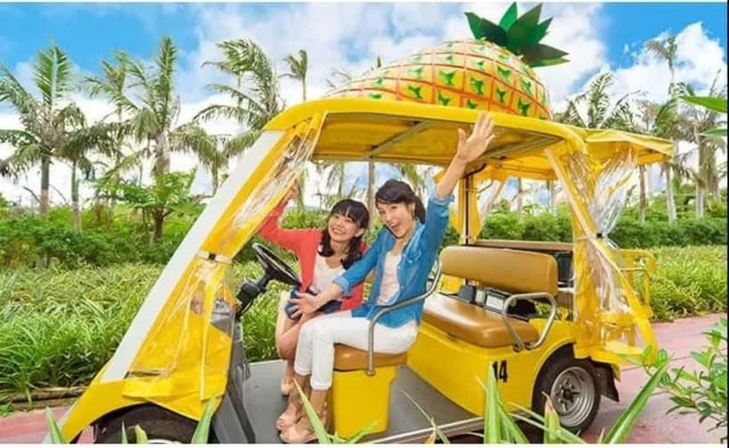 Naha: North Okinawa Sightseeing Tour & Churaumi Aquarium - Where to meet the bus in Naha