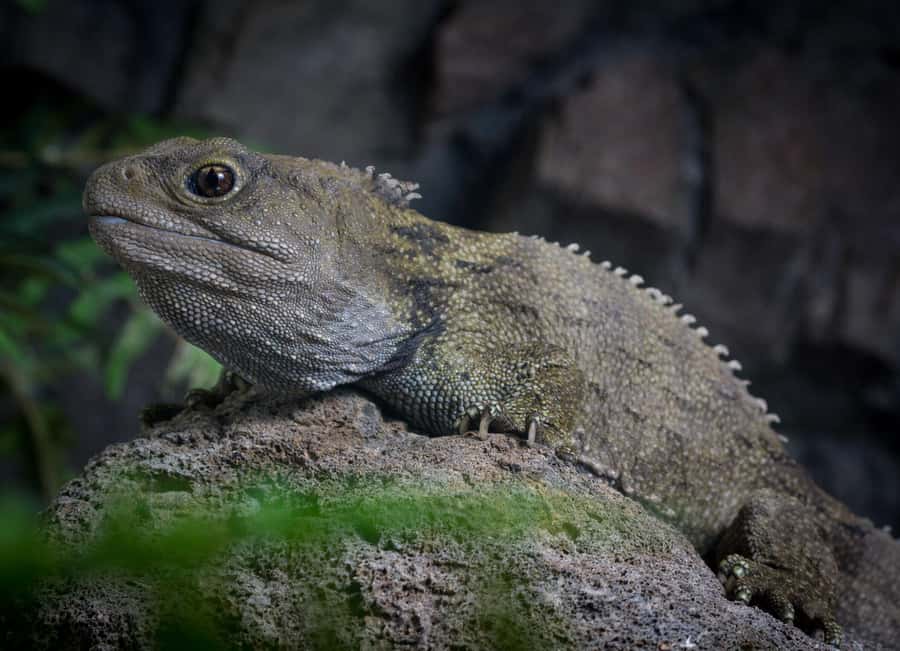 Napier: National Aquarium of New Zealand General Admission - Key points to know before you go