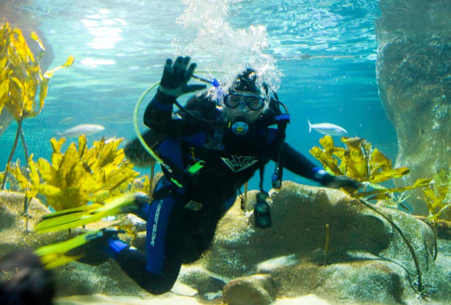 Napier: National Aquarium of New Zealand General Admission - Freshwater life from rivers to coast