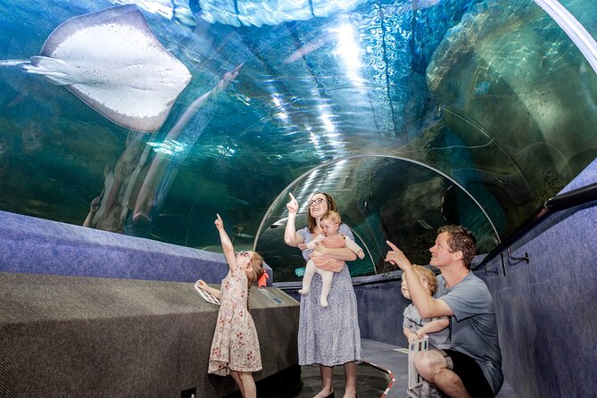 National Aquarium of New Zealand in Napier General Admission - How long should you allow?