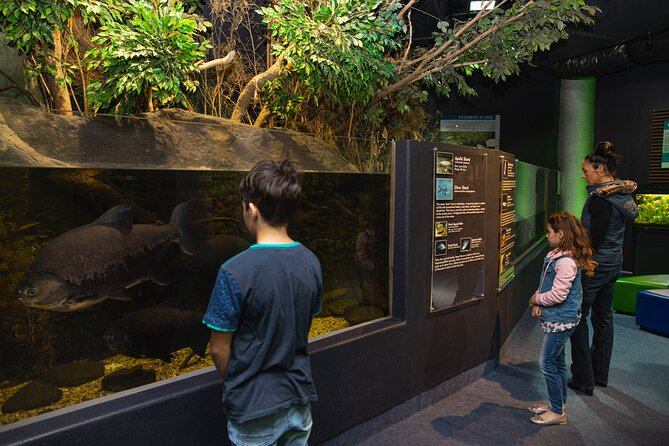 National Aquarium of New Zealand in Napier General Admission - Opening hours and getting there