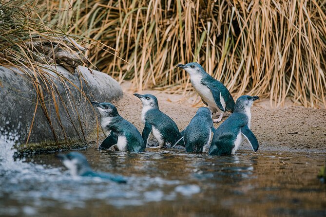 National Aquarium of New Zealand in Napier General Admission - Feeding times at 10am and 2pm
