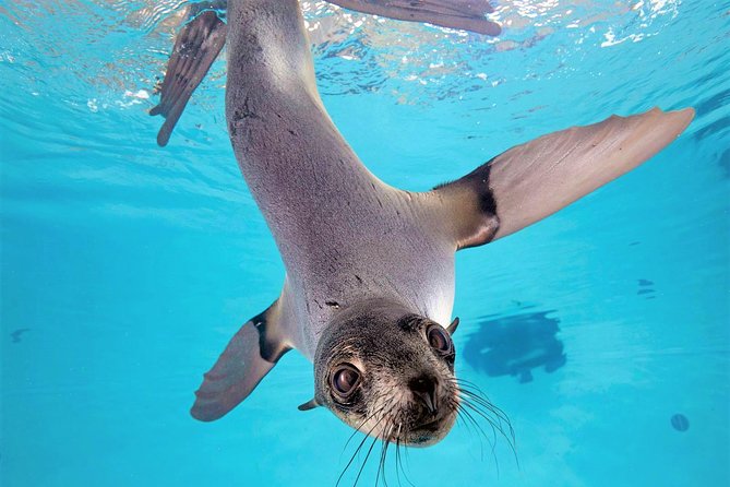 New England Aquarium Admission Ticket in Boston - The Giant Ocean Tank gives the visit its shape