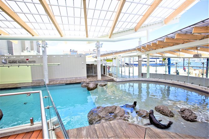 New England Aquarium Admission Ticket in Boston - What the two-hour visit feels like