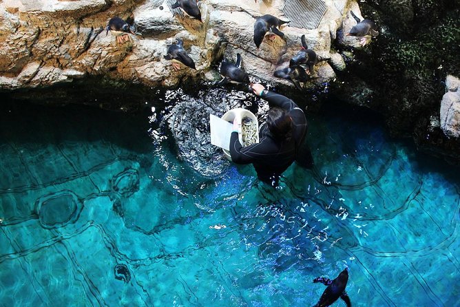 New England Aquarium Admission Ticket in Boston - How the aquarium compares with your expectations