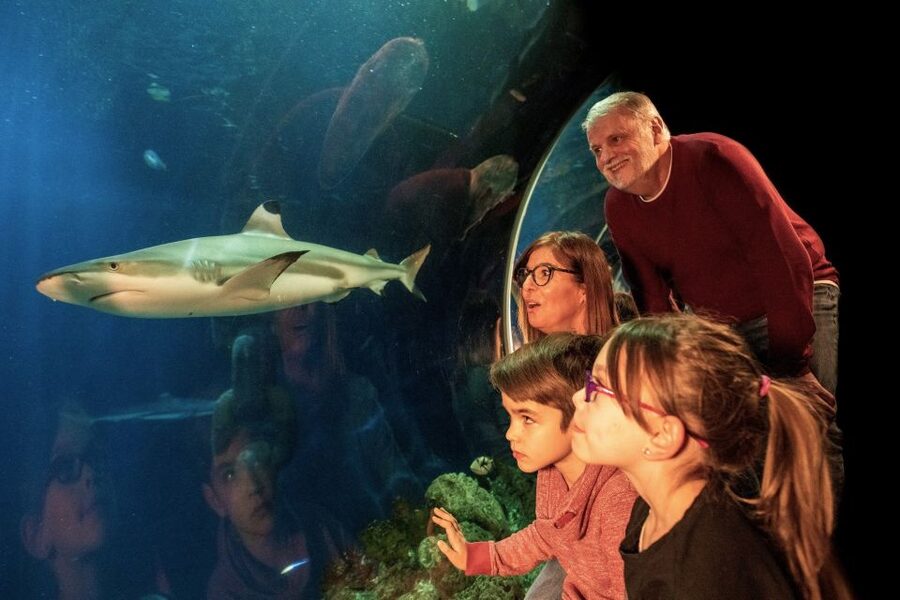 Oberhausen: LEGOLAND Discovery Centre and SEA LIFE Ticket - Kingdom Quest, Merlin’s Apprentice, and the 4D cinema