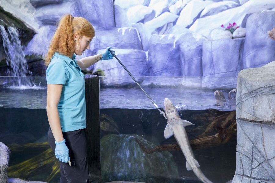 Oberhausen: LEGOLAND Discovery Centre and SEA LIFE Ticket - Walking five minutes to SEA LIFE Oberhausen