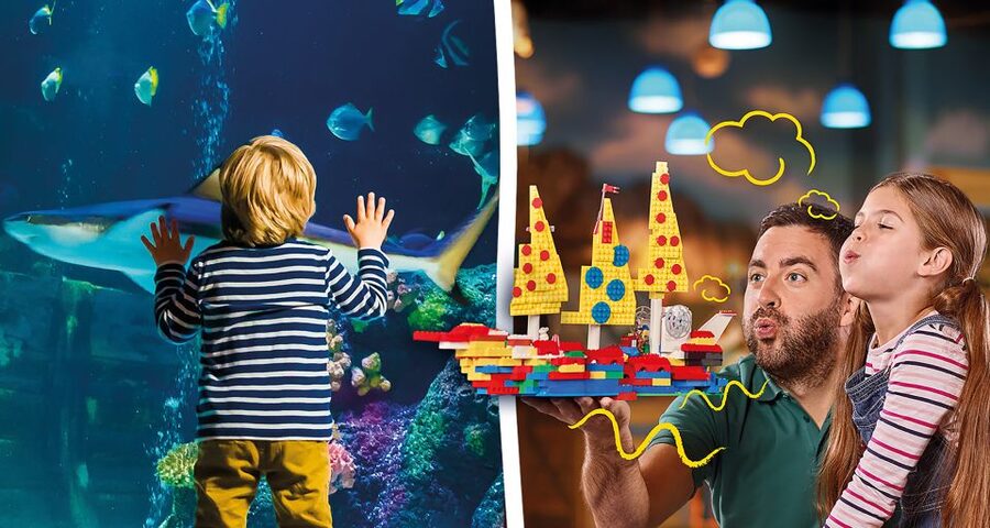 Oberhausen: LEGOLAND Discovery Centre and SEA LIFE Ticket - Amazon, Rhine, otters, and smaller habitats
