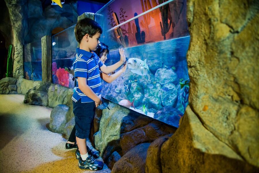 Oberhausen: LEGOLAND Discovery Centre and SEA LIFE Ticket - Starting at LEGOLAND Discovery Centre Oberhausen