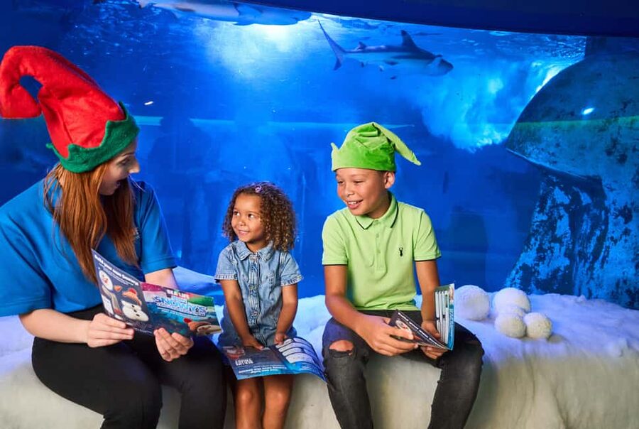 Oberhausen: SEA LIFE Oberhausen Entry Ticket - A wide reef with tropical fish and corals
