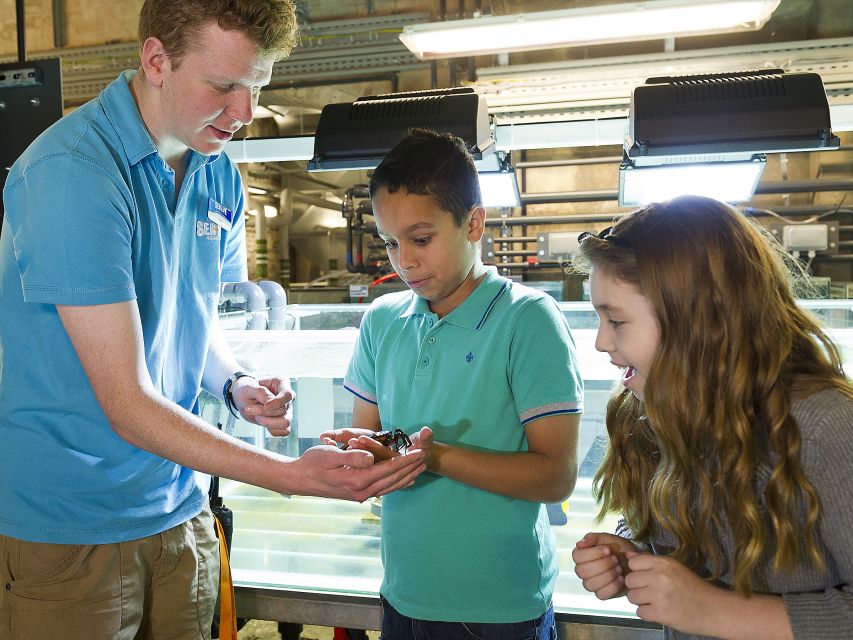 Oberhausen: SEA LIFE Ticket and Behind the Scenes Tour - Feeding the animals is the strongest hands-on moment