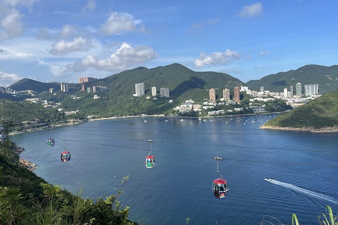 Ocean Park Full-Day Coach Tour with Hotel Pickup in Kowloon Area from Hong Kong - Aqua City and the Grand Aquarium