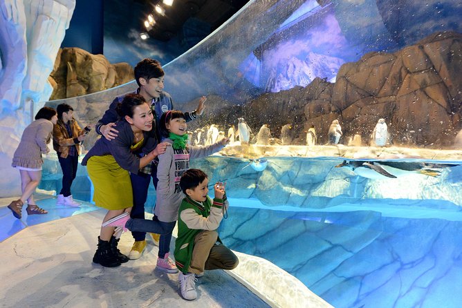 Ocean Park Full-Day Coach Tour with Hotel Pickup in Kowloon Area from Hong Kong - Polar Adventure and the penguins
