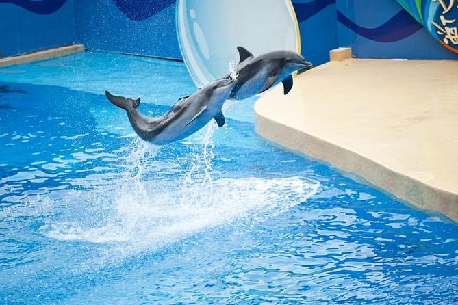 Ocean Park Full-Day Coach Tour with Hotel Pickup in Kowloon Area from Hong Kong - Thrill Mountain for the serious rides