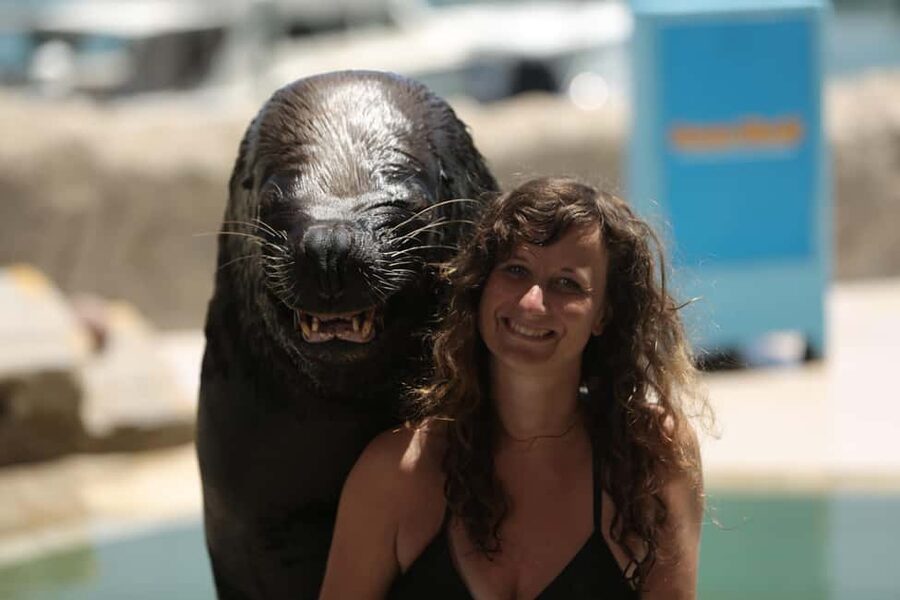 Ocean World Dolphin Swim & Sea Lion Combo from Puerto Plata - Key points to know before you book