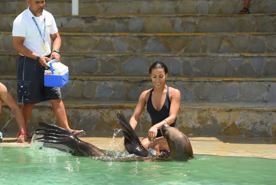 Ocean World Dolphin Swim & Sea Lion Combo from Puerto Plata - Your morning ride to Cofresi Beach