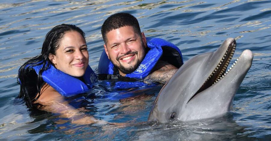 Ocean World Dolphin Swim & Sea Lion Combo from Puerto Plata - Snorkeling in the Tropical Reef
