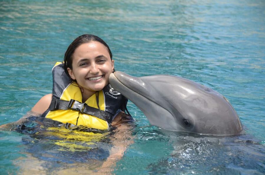 Ocean World Dolphin Swim & Sea Lion Combo from Puerto Plata - The dolphin swim and its short orientation