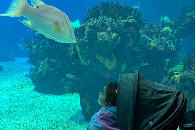 Oceanarium, Telecabine and San George Castelo Full Day Trip - Key points at a glance