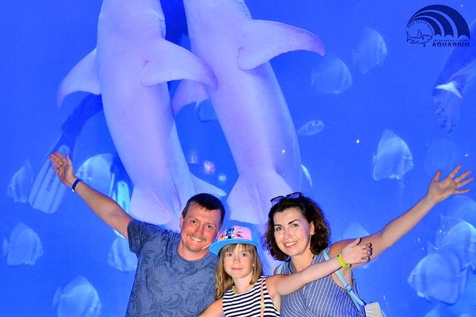 Official Account: Hurghada Grand Aquarium Entrance Tickets - Getting there and arranging your return