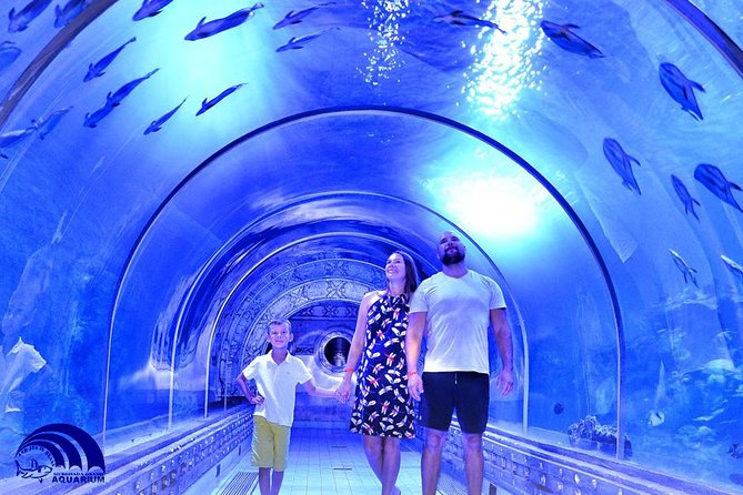 Official Account: Hurghada Grand Aquarium Entrance Tickets - The touch tank, rope bridge, and small zoo
