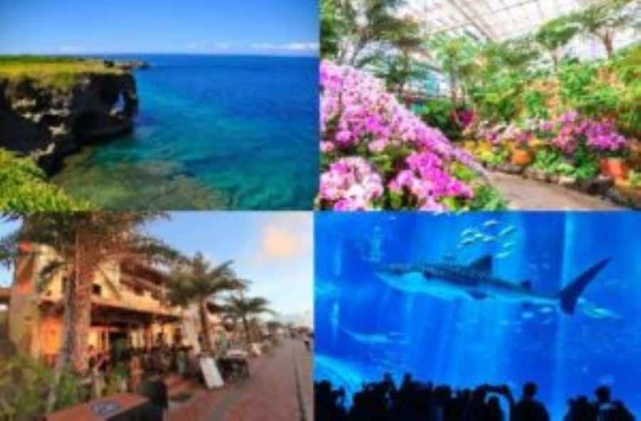 Okinawa: Bus Tour to Churaumi Aquarium with Sightseeing - Key points at a glance