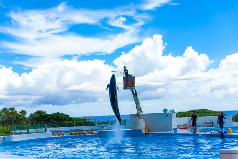 Okinawa Churaumi or Tropical, Kouri American Village BusTour - Key points to know before booking