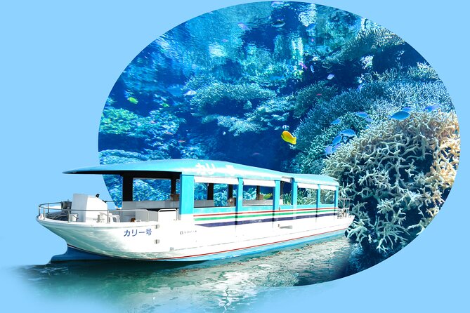 Okinawa HIP-HOP BUS B - 1 Course Tour (Okinawa Churaumi Aquarium) - Why this bus route works well from Naha