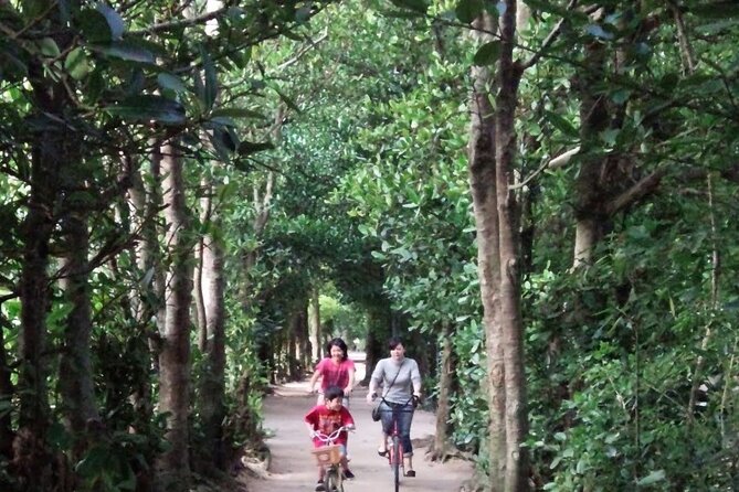 Okinawa HIP-HOP BUS B - 1 Course Tour (Okinawa Churaumi Aquarium) - Tropical Dream Center offers a quieter change of pace