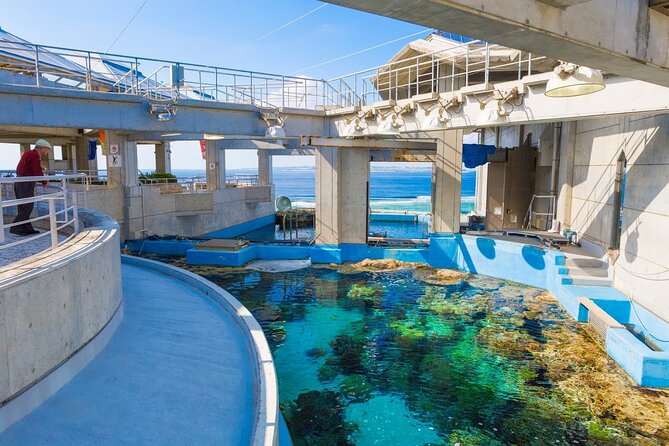 Okinawa HIP-HOP BUS B - 1 Course Tour (Okinawa Churaumi Aquarium) - What the $59.46 price really covers
