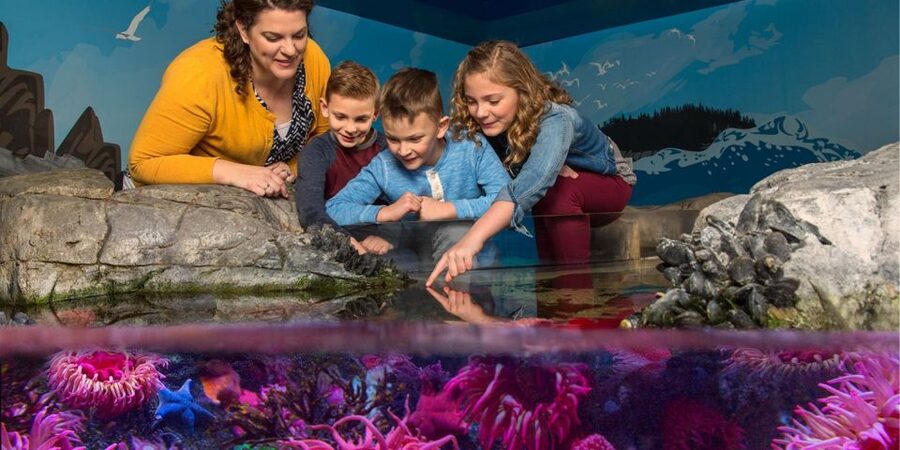 Orlando: SEA LIFE Orlando Aquarium - Practical details before you go
