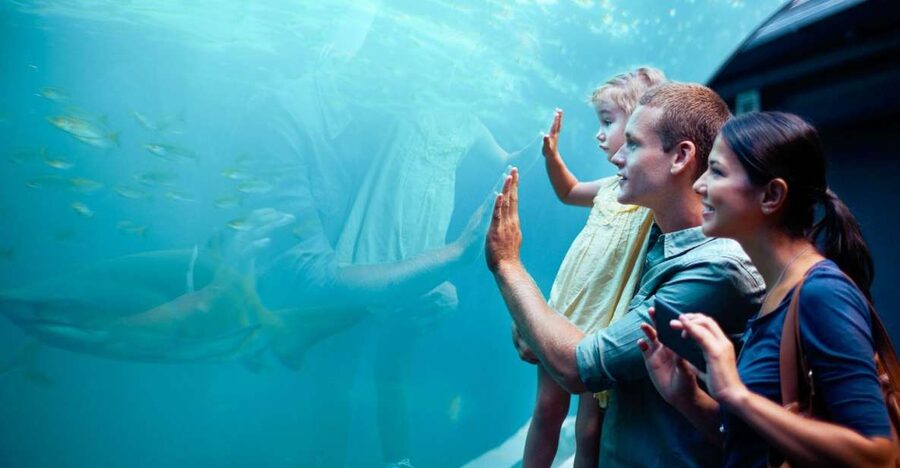 Orlando: SEA LIFE Orlando Aquarium - Is $30 a fair price?