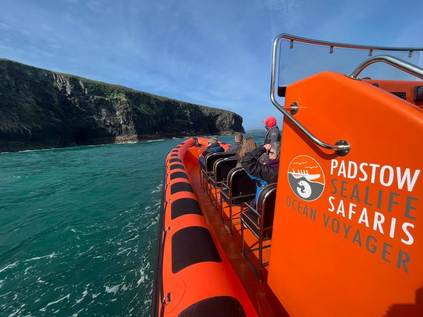 Padstow: Guided RIB Sealife Safari - Is $60 a fair price?