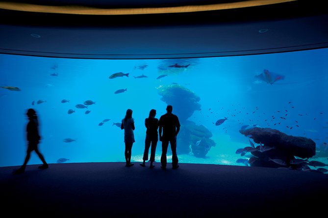 Palma Aquarium with return bus from Port Alcudia - Coral reefs, touch pools, and the children’s area