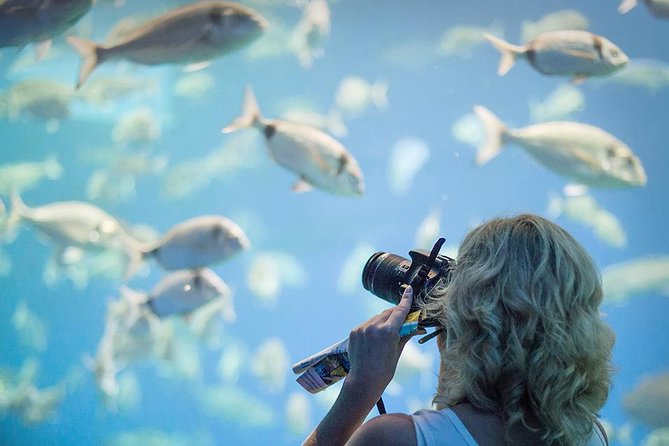 Palma Aquarium with return bus from Port Alcudia - The free Palma option for eastern Mallorca