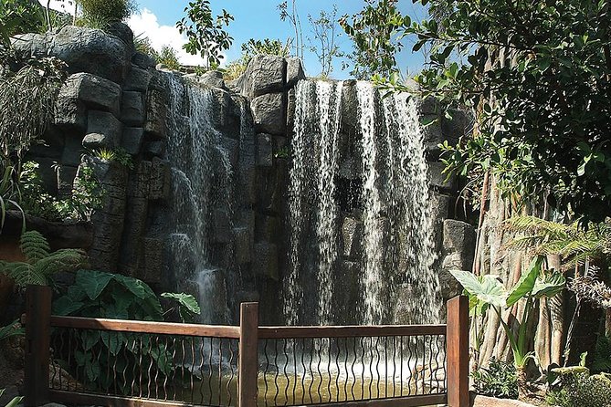 Palma Aquarium with return bus from Port Alcudia - Who will enjoy this most?