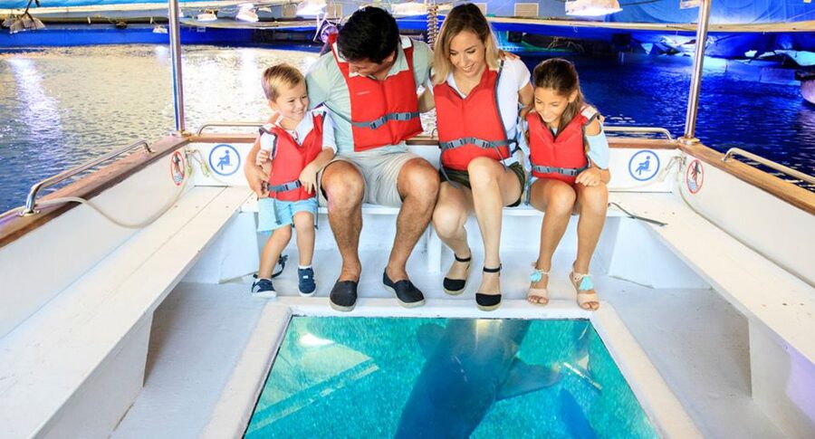 Palma: Palma Aquarium Ticket with Transfer Service - Jellyfish provide the calmest stop