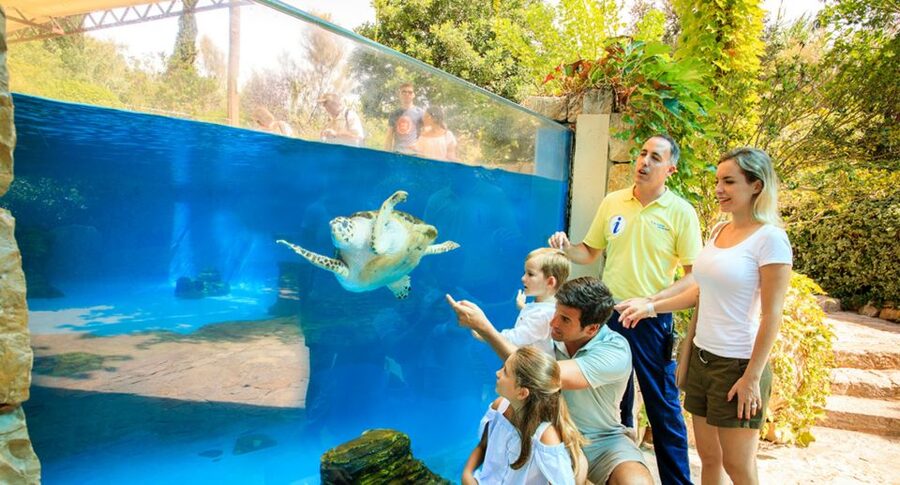 Palma: Palma Aquarium Ticket with Transfer Service - Transport makes this easier, but not faster