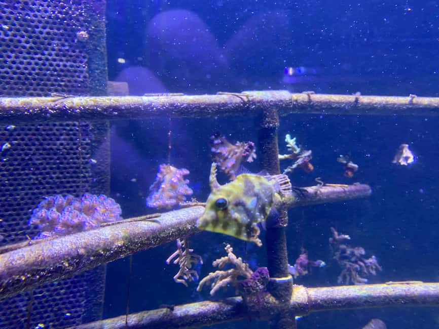 Paris: Aquarium de Paris, A Dive into the Deep Blue Wonder - How Much Time Should You Allow?