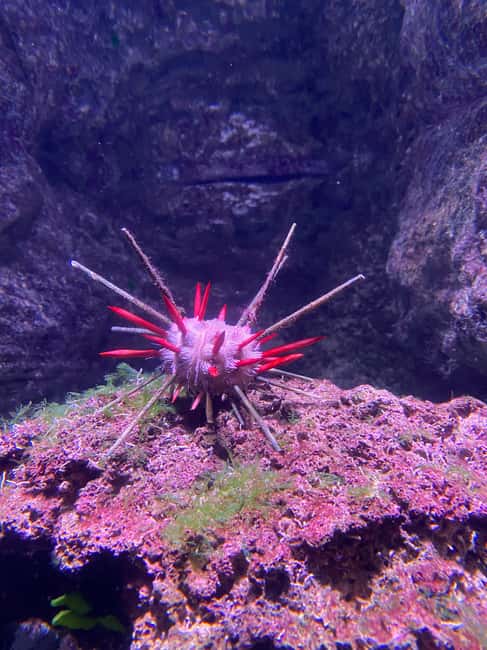 Paris: Aquarium de Paris, A Dive into the Deep Blue Wonder - What the Strongest Praise Tells You