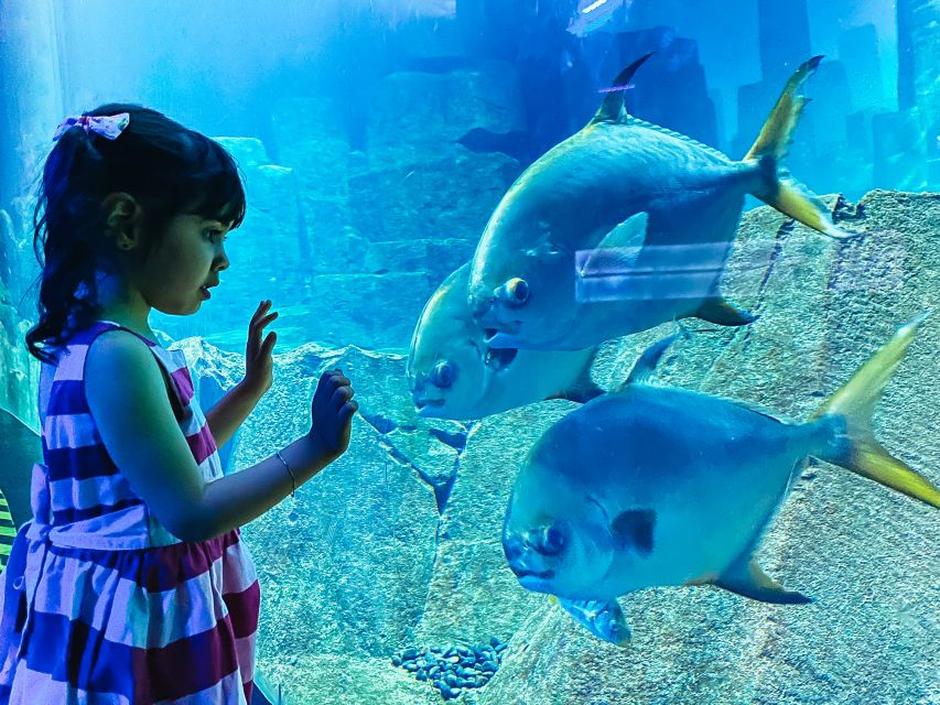 Paris: Aquarium de Paris Entrance Ticket - Who will enjoy it most?