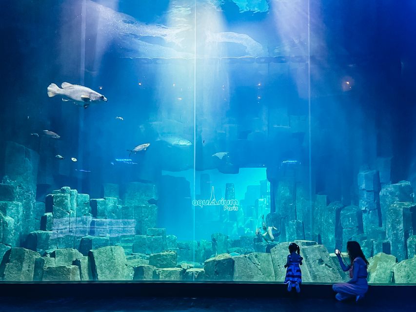 Paris: Aquarium de Paris Entrance Ticket - What the Aquarium de Paris feels like